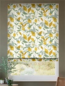 Akira Saffron Roman Blind thumbnail image