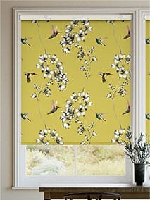 Amazilia Lime Roller Blind thumbnail image