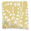 Armeria Honey Roman Blind swatch image