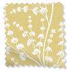 Armeria Honey Roman Blind swatch image