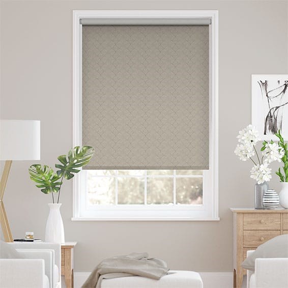 Choices Elysee Platinum Roller Blind