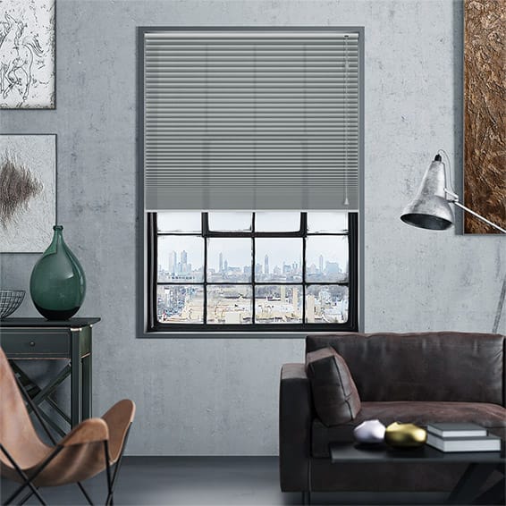 Thermal DuoLight Nickel Grey Pleated Blind