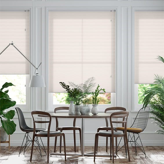 Thermal DuoLight Nude Pleated Blind