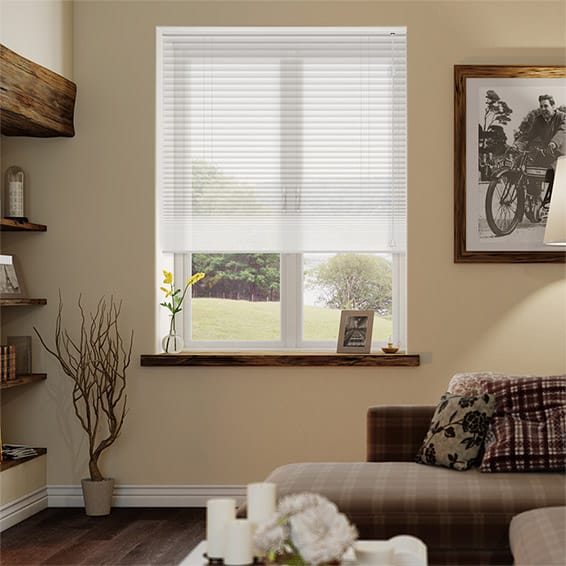 Thermal DuoSheer Snow Pleated Blind