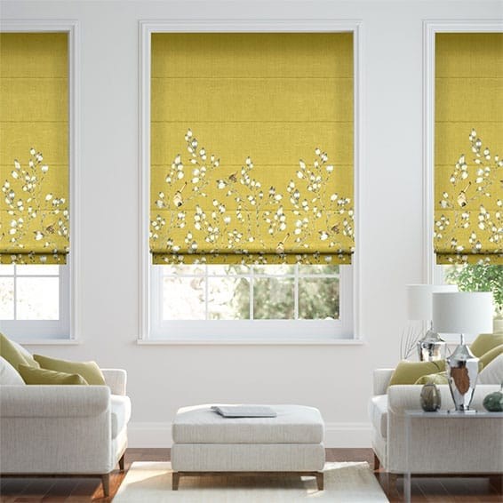 Iyanu Border Linden Roman Blind