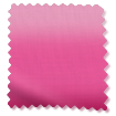 Ombre Fuchsia Roller Blind swatch image