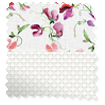 Double Roller Sweet Pea Pink Double Roller Blind swatch image